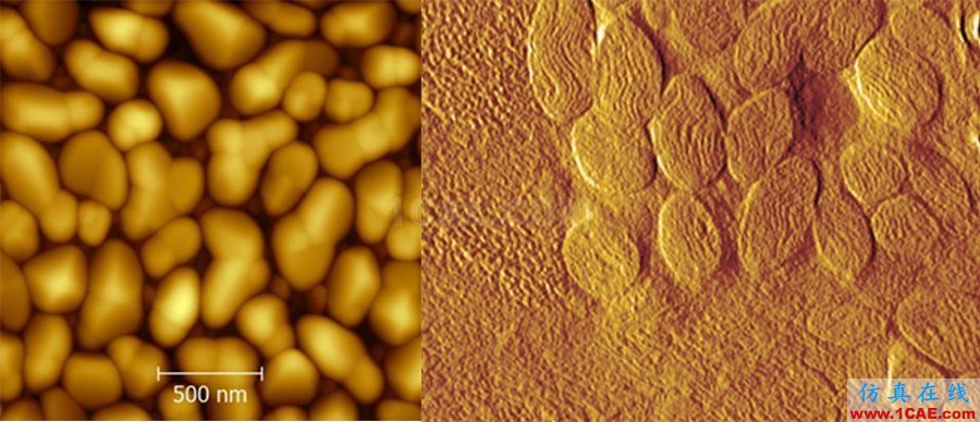 机械设计的高级境界：四大显微设备SEM、TEM、AFM、STM工作原理，看图说话机械设计图例图片21