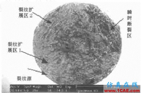 40Cr轴承疲劳断裂分析ansys培训的效果图片2