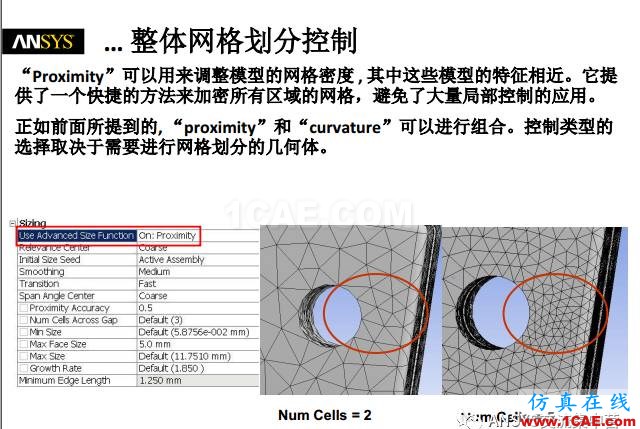 ansys技术专题之 网格划分ansys图片10