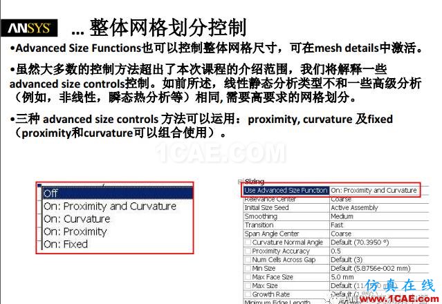 ansys技术专题之 网格划分ansys培训课程图片8