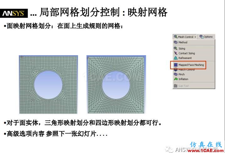 ansys技术专题之 网格划分ansys培训的效果图片22