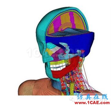 有限元分析在医疗领域的利用有限元理论图片4