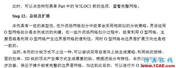 一份非常出色的ICEM CFD上手学习材料icem网格划分案例图片11