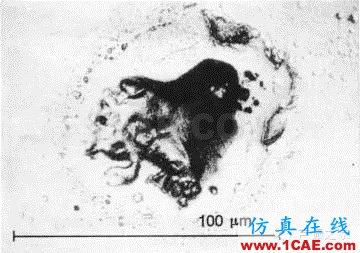 SKF轴承失效分析：失效形式、特征及可能原因机械设计图片49