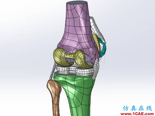 【医学应用】骨科知识和有限元分析ansys图片4