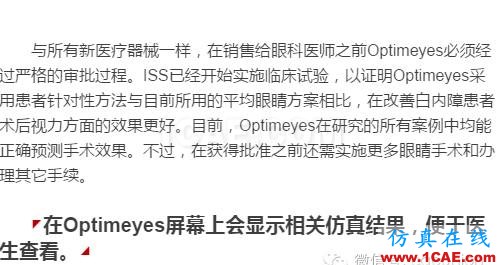 眼科医生玩转ANSYS Mechanical治疗白内障ansys分析图片2