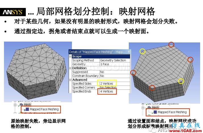 ansys技术专题之 网格划分ansys培训的效果图片23