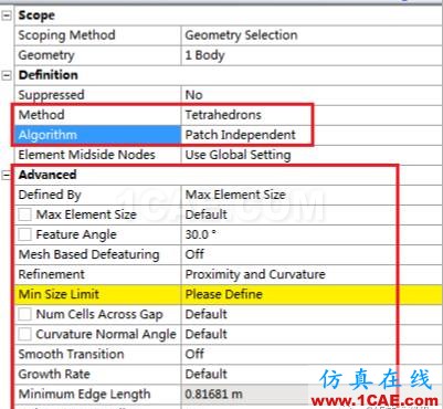 【技术篇】局部网格控制ansys培训的效果图片4