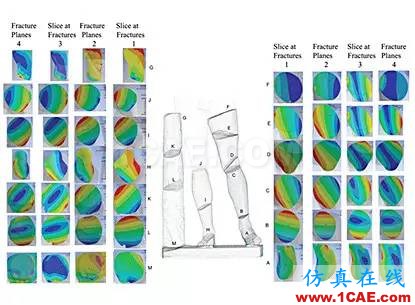 美国仿真专家首次利用ANSYS协助修复破损的雕塑ansys培训课程图片4