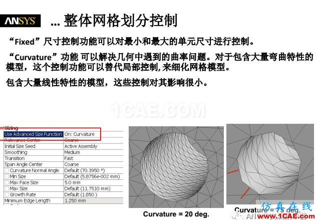 ansys技术专题之 网格划分ansys图片9